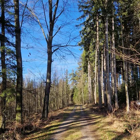 'Allgaeus Finest Place '-Domizil Zum Traeumen Und Erholen Leutkirch im Allgau Exterior photo