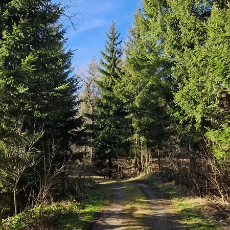 'Allgaeus Finest Place '-Domizil Zum Traeumen Und Erholen Leutkirch im Allgau Exterior photo