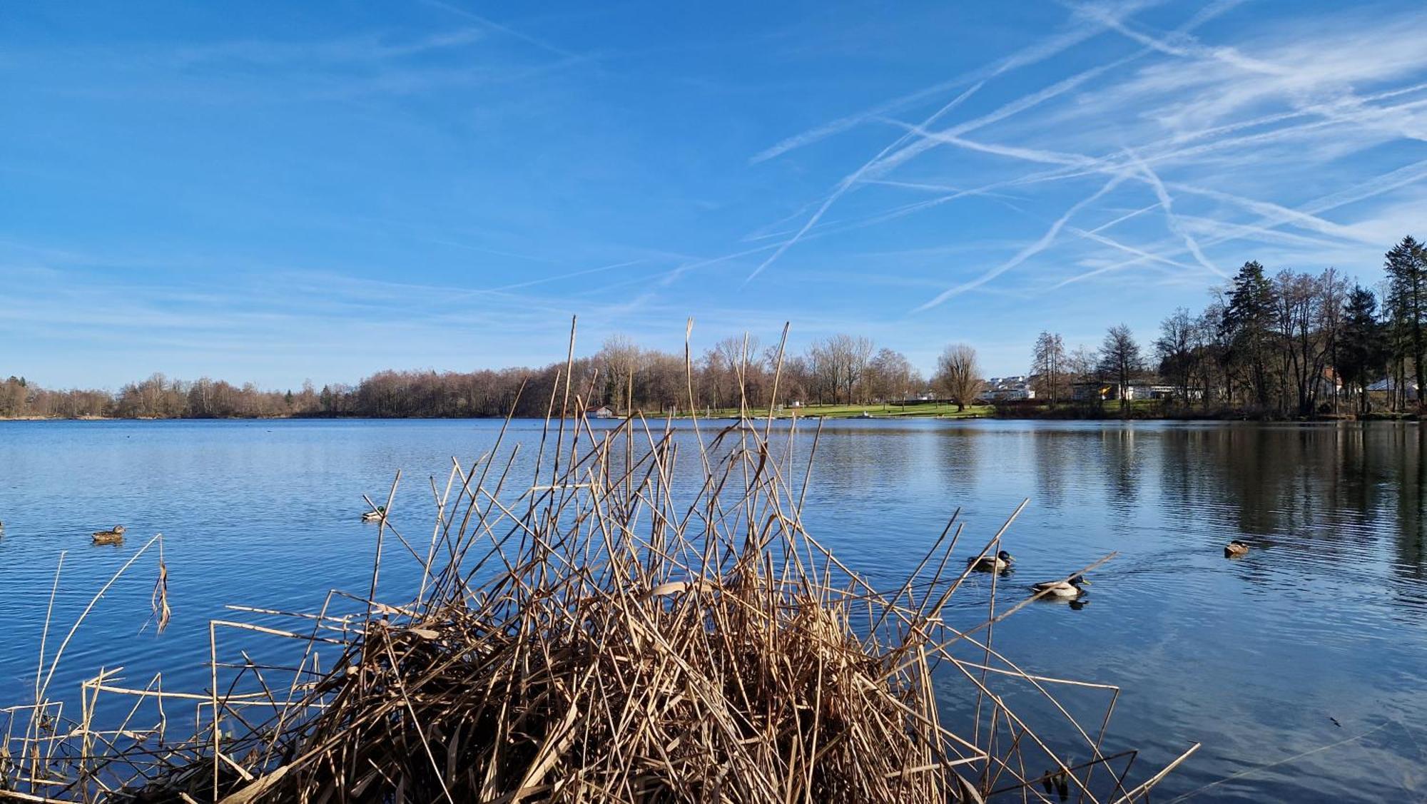 'allgaeus Finest Place '-domizil Zum Traeumen Und Erholen Leutkirch im Allgau