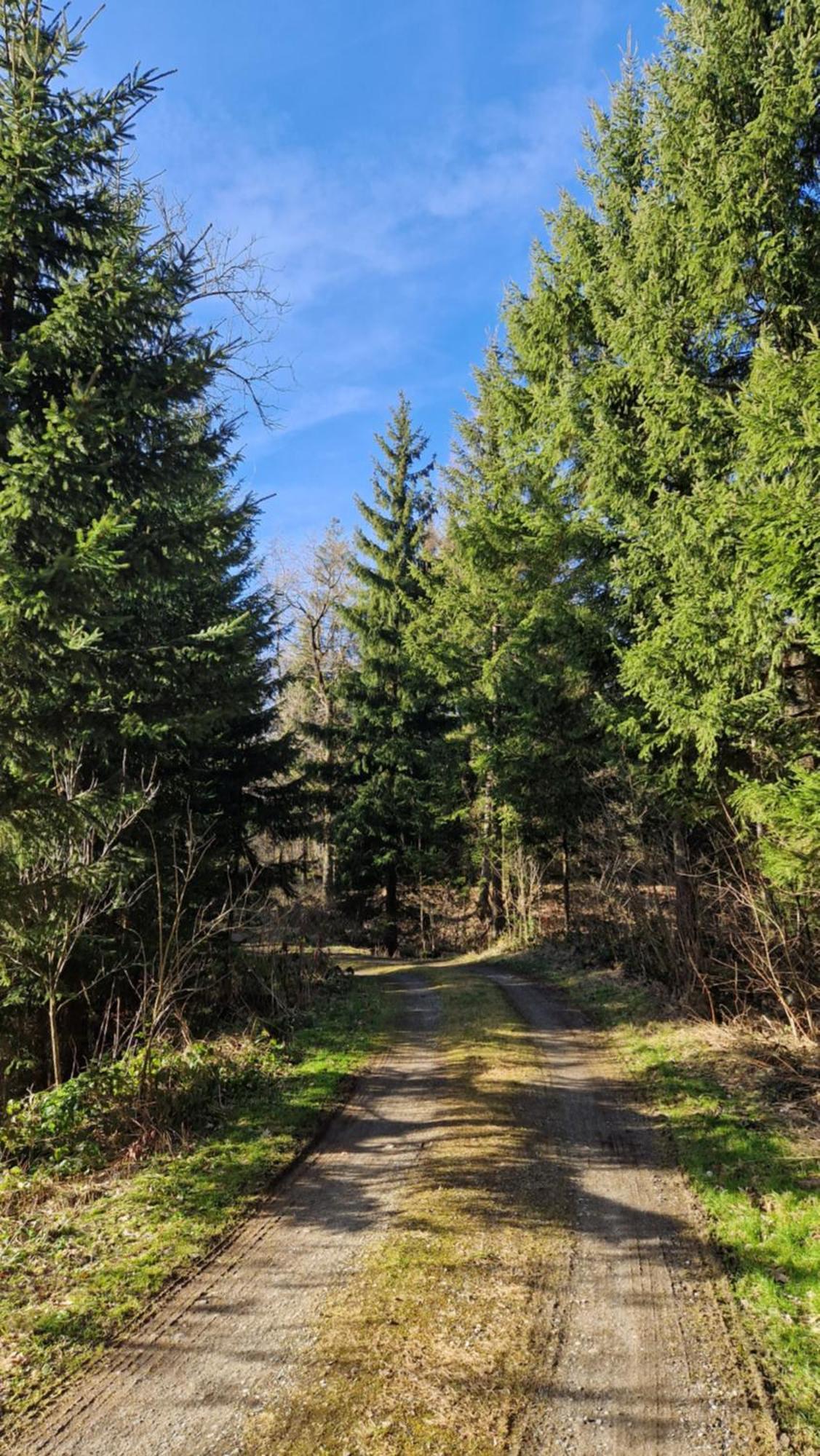 Apartment 'allgaeus Finest Place '-domizil Zum Traeumen Und Erholen